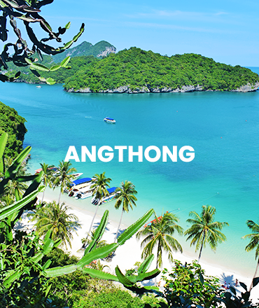 kohsamui.tours