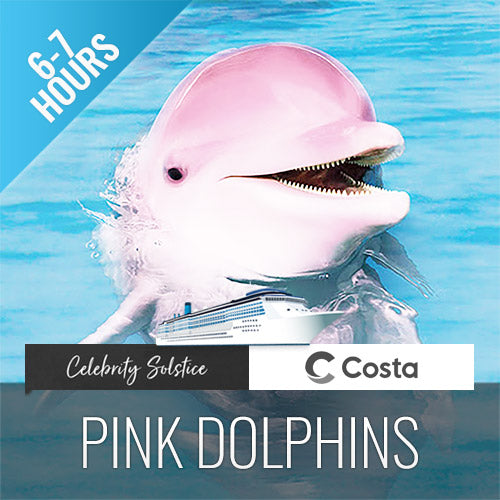 Cruise Ship Tour Pink Dolphins Khanom - kohsamui.tours