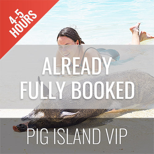 <b>29-09-26 **Hot Deal 30%**</b></br> Pig Island VIP Longtail Boat