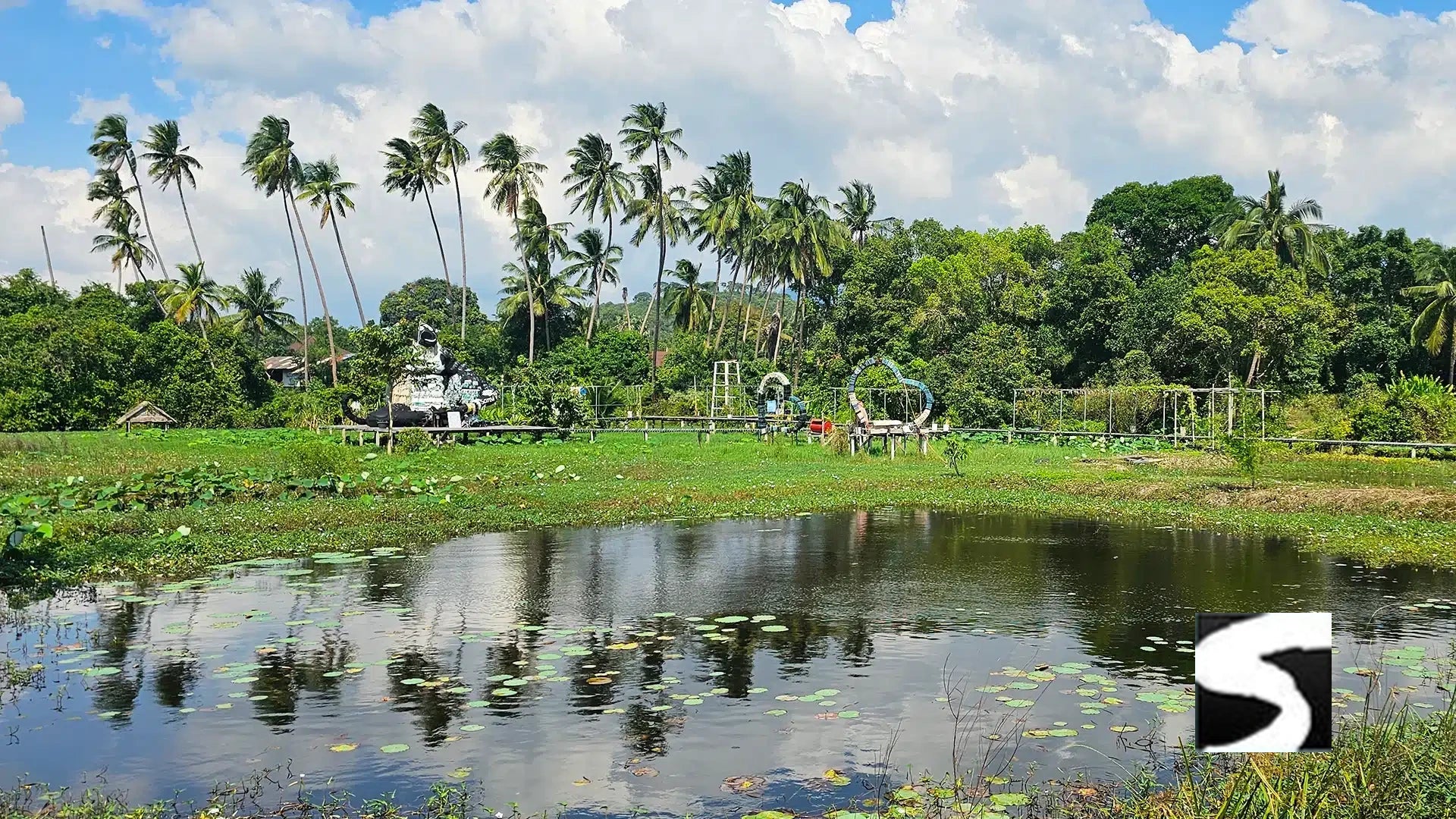 Lotus pond with palm trees at I-Talay Park, Koh Samui