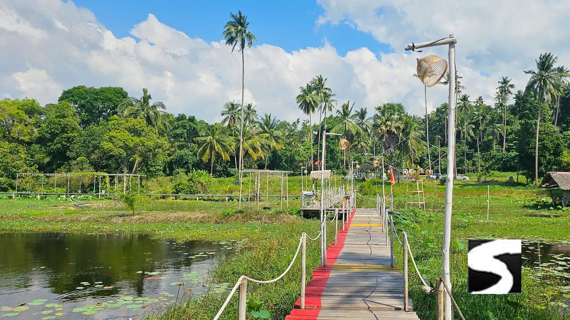 Wooden bridge crossing the lotus pond at I-Talay Park – featured on kohsamui.tours' White Lotus Tour