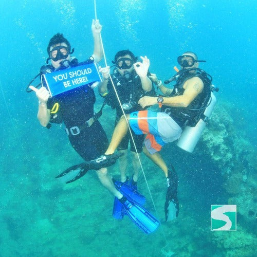 Trial Diving Koh Tao - Experience the open sea - kohsamui.tours