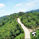 ATV Adventure Tour jungle Koh Samui 2.5 Hours - kohsamui.tours