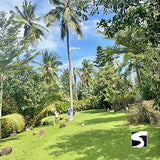 Football Golf Koh Samui - Fun Activity - kohsamui.tours