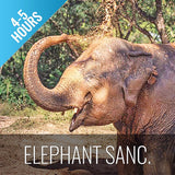 Elephant Sanctuary Samui - Ethical Animal Activity - kohsamui.tours