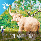 Half Day Activity Koh Samui Elephant Home Animal Shelter - kohsamui.tours