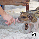 Koh Samui Tours - Secret islands boat trip