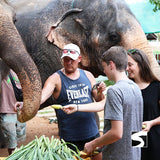 Half Day Activity Koh Samui Elephant Home Animal Shelter - kohsamui.tours