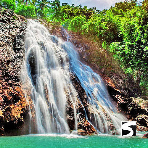 Private Zodiac Park, Elephant Clinic, Waterfall & the best View Point