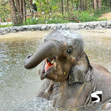Elephant Kingdom Koh Samui - kohsamui.tours