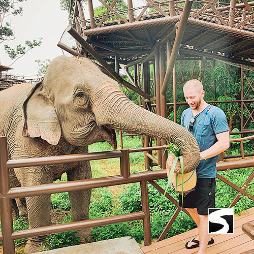 Elephant Kingdom Koh Samui - kohsamui.tours