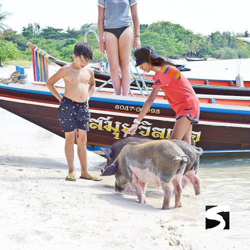 <b>29-09-26 **Hot Deal 30%**</b></br> Pig Island VIP Longtail Boat
