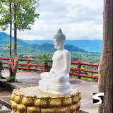 Private Zodiac Park, Elephant Clinic, Waterfall & the best View Point