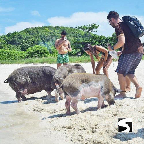 Private Koh Samui Tours - Secret islands boat trip