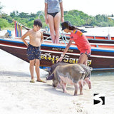 Private Koh Samui Tours - Secret islands boat trip