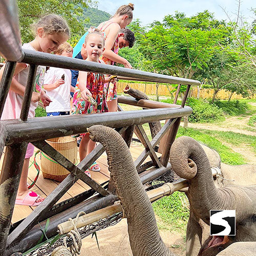 Elephant Kingdom Koh Samui - kohsamui.tours