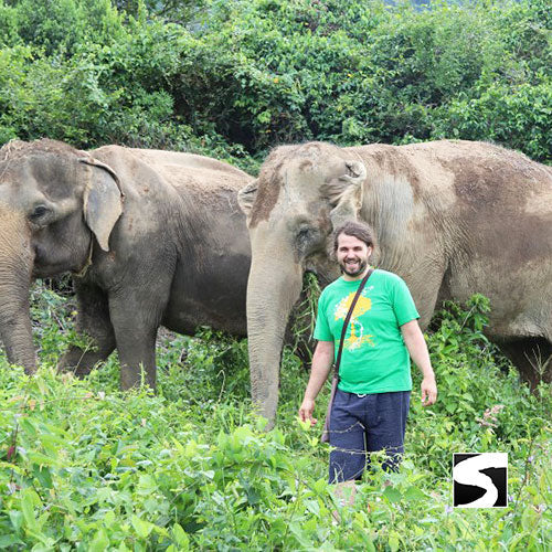 Elephant Home Animal Shelter - Shore Excursion Koh Samui - kohsamui.tours