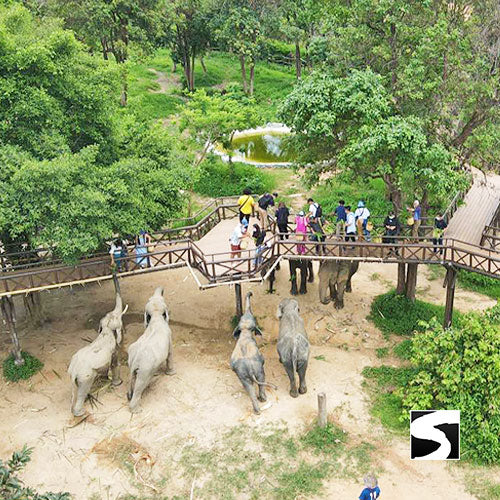 Elephant Kingdom Koh Samui - kohsamui.tours