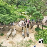 Elephant Kingdom Koh Samui - kohsamui.tours