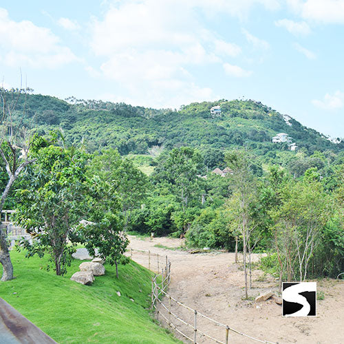 Koh Samui Elephant Home - Animal Activity - kohsamui.tours