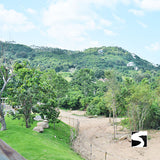 Koh Samui Elephant Home - Animal Activity - kohsamui.tours