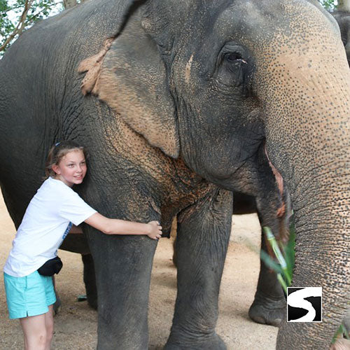 Half Day Activity Koh Samui Elephant Home Animal Shelter - kohsamui.tours