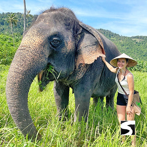 Private Zodiac Park, Elephant Clinic, Waterfall & the best View Point