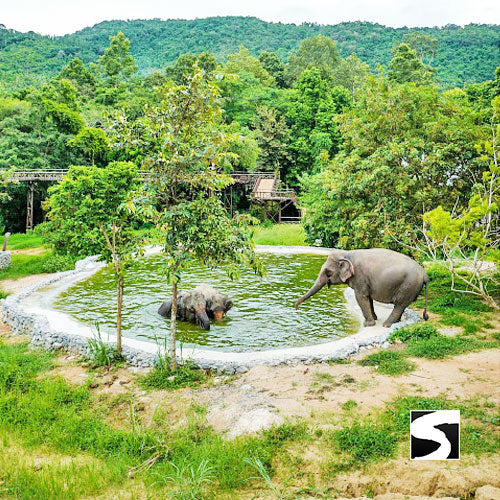 Elephant Kingdom Koh Samui - kohsamui.tours