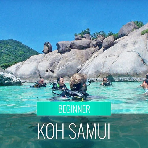 Diving Koh Samui - At beach for beginners - kohsamui.tours