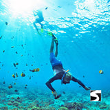 Cruise Ship Tour Pink Dolphins Khanom - kohsamui.tours