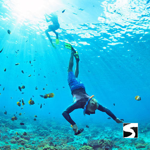 Koh Samui Pink Dolphin tour Khanom - kohsamui.tours