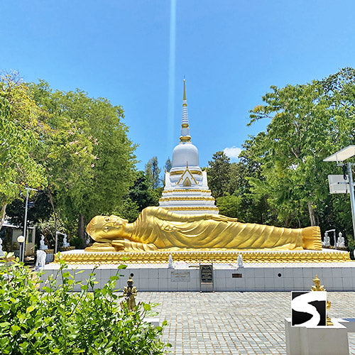 Private Zodiac Park, Elephant Clinic, Waterfall & the best View Point