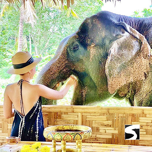 Cruise Ship Tour 6 Attractions Koh Samui - kohsamui.tours