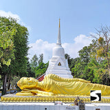 Temple Tour Around Koh Samui Full Day Excursion