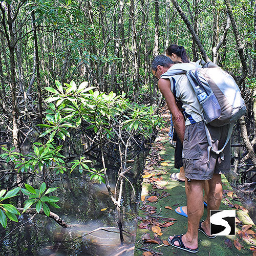 Private Koh Samui Tours - Secret islands boat trip