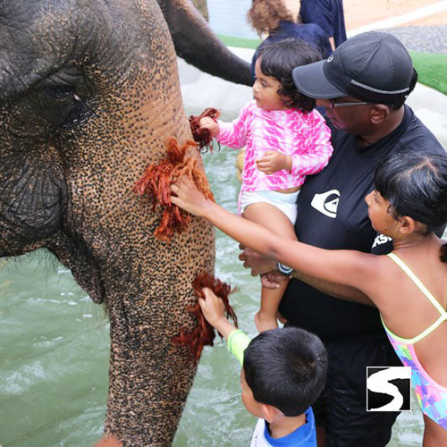Elephant Home Animal Shelter - Shore Excursion Koh Samui - kohsamui.tours