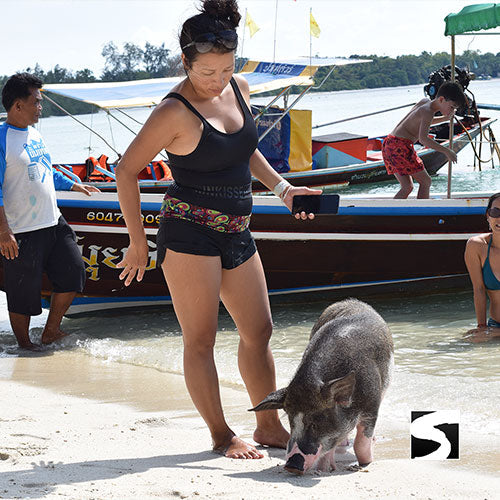 <b>29-09-26 **Hot Deal 30%**</b></br> Pig Island VIP Longtail Boat