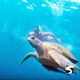 Day trip snorkeling Koh Tao & Koh Nang Yuan - kohsamui.tours