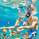 Day trip snorkeling Koh Tao & Koh Nang Yuan - kohsamui.tours