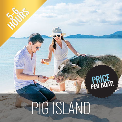 Unique snorkel Tour Pig Island Koh Tan & Koh Mudsum - kohsamui.tours