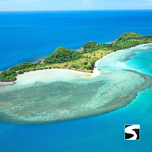 Amazing Pig Island Tour - Cruise Ship Tours - kohsamui.tours