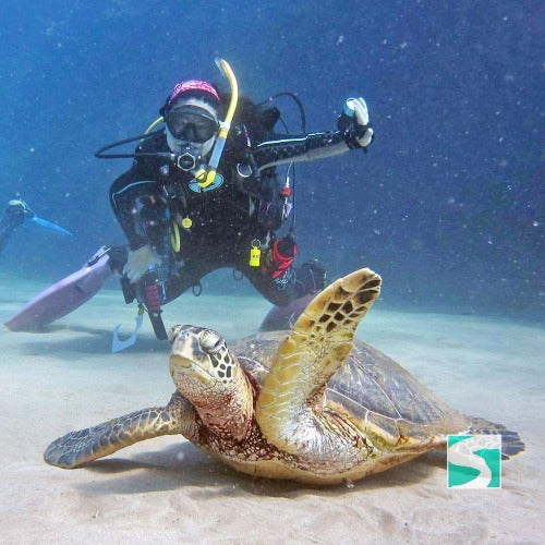 PADI open water diver - 3 day course Koh Samui - kohsamui.tours