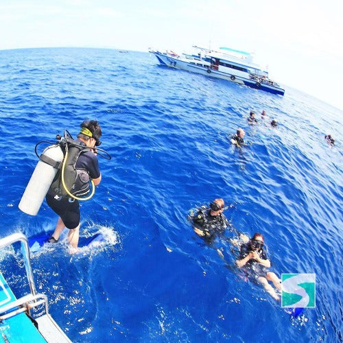 PADI open water diver - 3 day course Koh Samui - kohsamui.tours