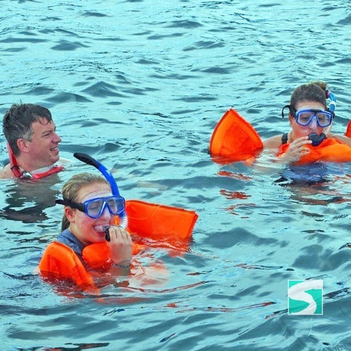 Private Diving Tour Island Koh Tan & Koh Mudsum - kohsamui.tours
