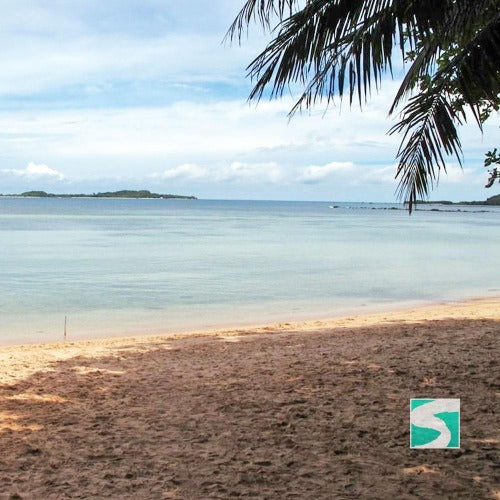 Private Diving Tour Island Koh Tan & Koh Mudsum - kohsamui.tours