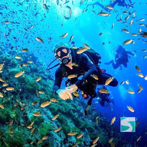 Koh Samui diving course - pool & open sea - kohsamui.tours