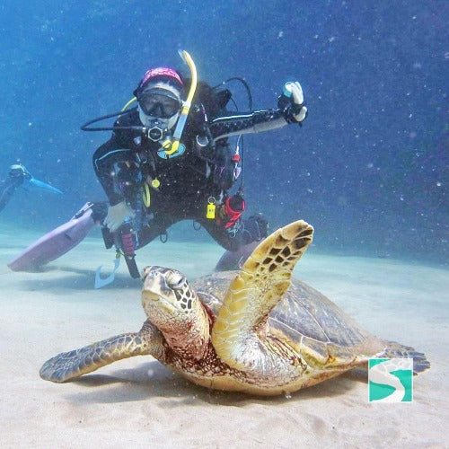 Koh Samui diving course - pool & open sea - kohsamui.tours