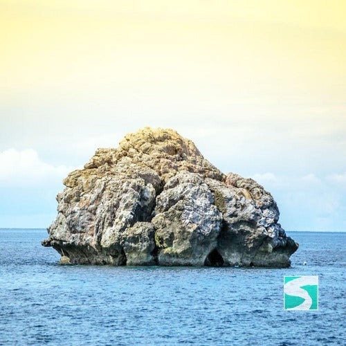 Diving Koh Tao - Sail Rock & whale shark - kohsamui.tours