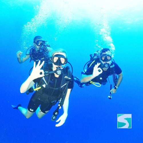 Diving Koh Tao - Sail Rock & whale shark - kohsamui.tours