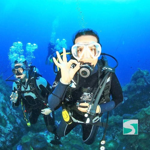 Diving Koh Samui - At beach for beginners - kohsamui.tours